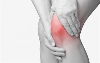 【慢性的な膝の痛みは内臓が原因⁇】
